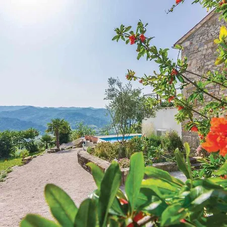 Holiday Susini Krbune